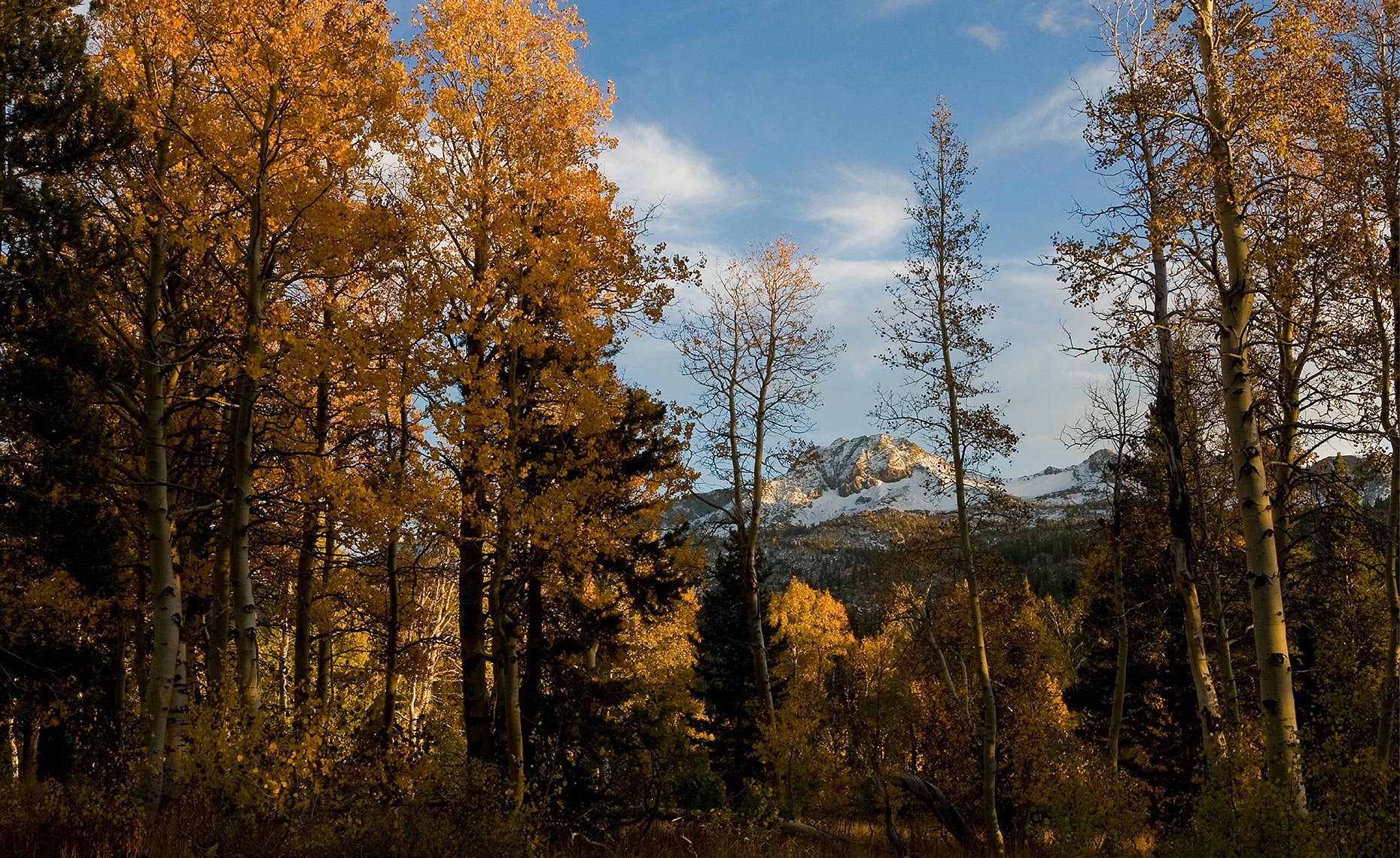 08_South_Lake_Tahoe_Roundtop_Fall_Colors_Backcountry_California_Environment_Landscape_Chris_Wellhausen_Photography.JPG