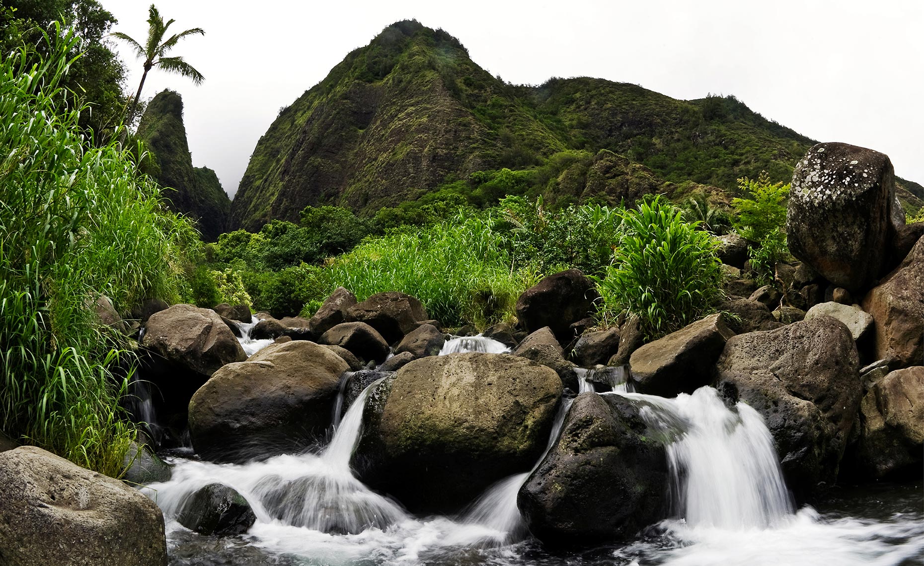42_Iao_Valley_Stae_Park_Maui_Hawaii_Environment_Landscape_Chris_Wellhausen_Photography.JPG