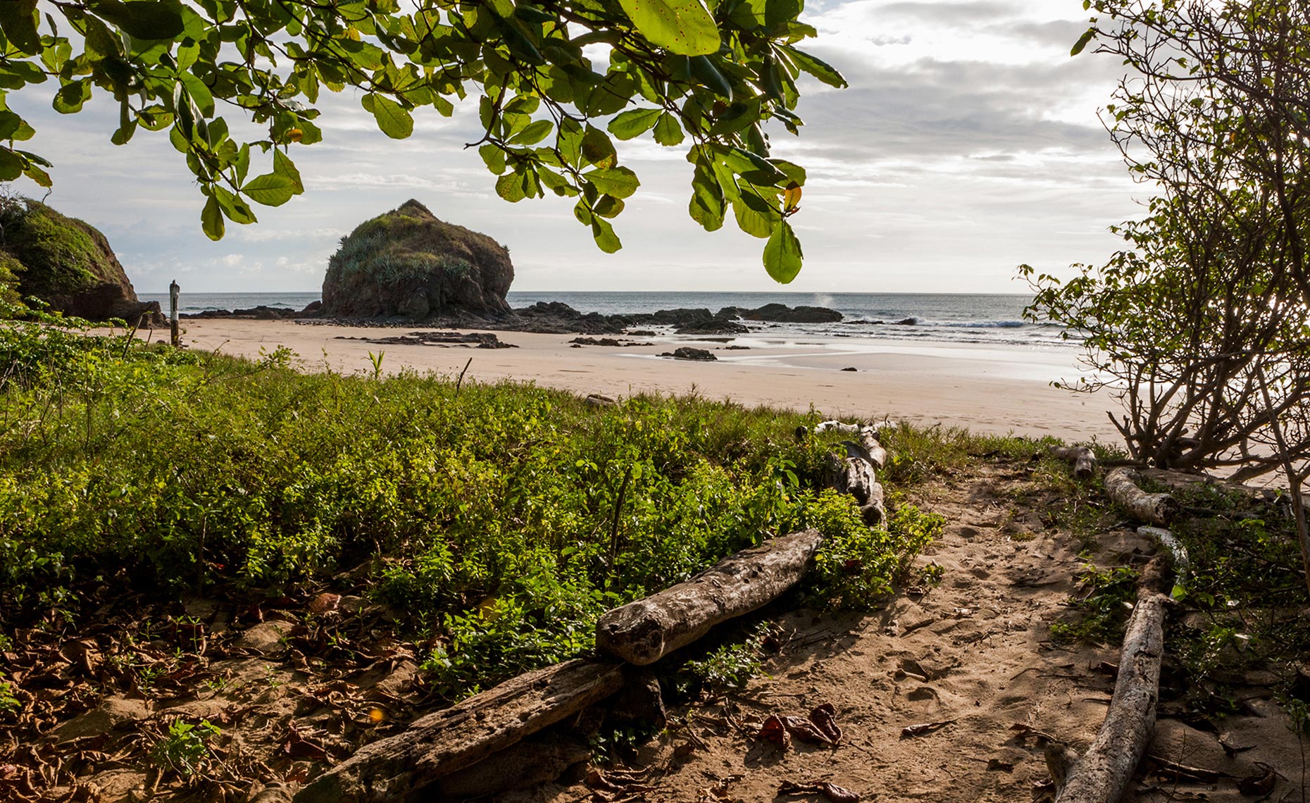 60_Playa_Grande_Costa_Rica_Environment_Landscape_Chris_Wellhausen_Photography.JPG