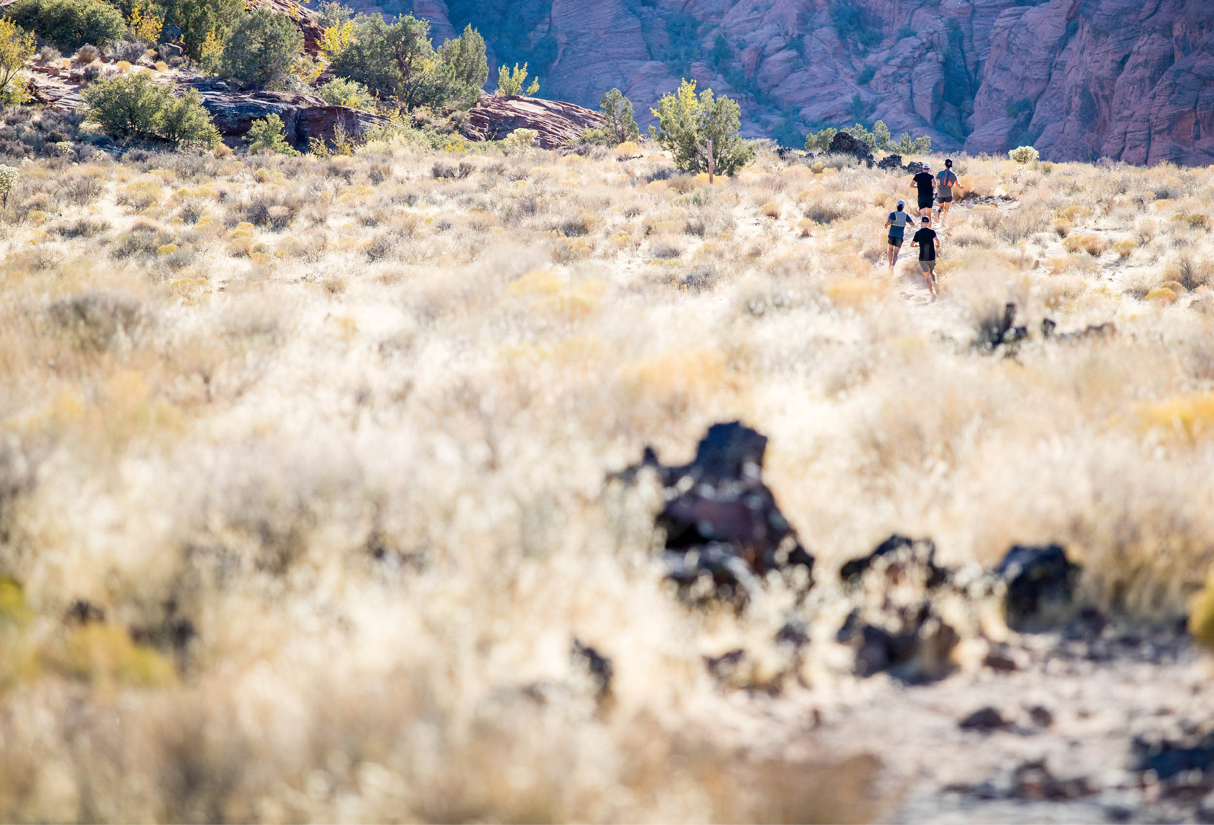 Path-Projects-Trail-Running-Chris-Wellhausen-140